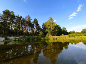 Działka Sprzedaż Morgowniki