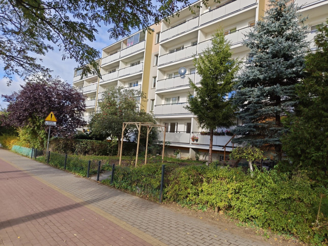 Mieszkanie Sprzedaż Łomża 11