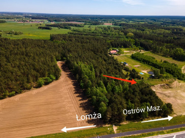 Działka Sprzedaż Sulęcin-Kolonia